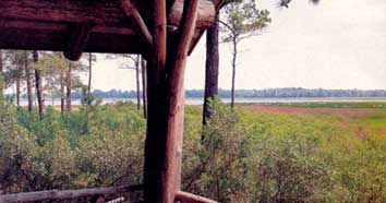 View from porch of east coast log cabin.